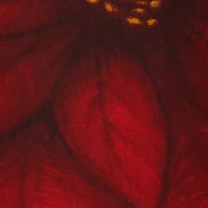 62558_z_710372e9.jpg