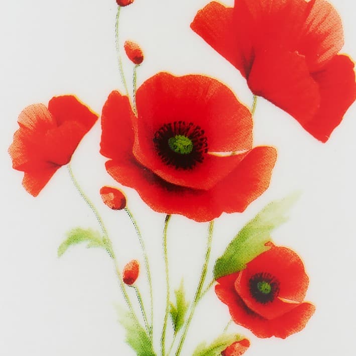 colorImage